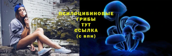 гидропоника Армянск