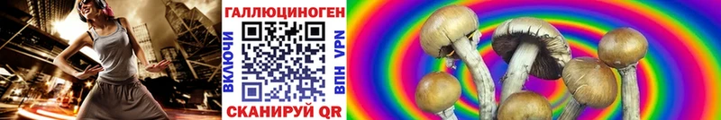 Галлюциногенные грибы GOLDEN TEACHER Шенкурск