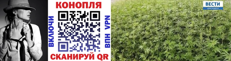 Каннабис марихуана Шенкурск